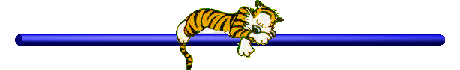 bar.gif (4999 bytes)